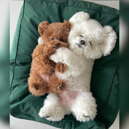 Ảnh thật của Lu & La