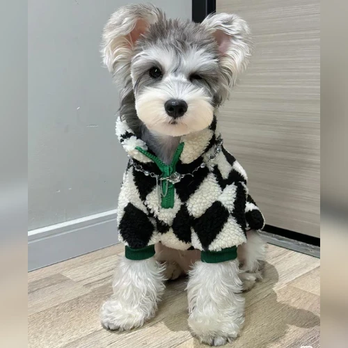 Ảnh thật của bé Rốt