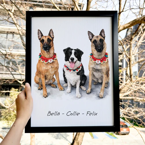 Tranh Bella, Collie & Felix do Clawkie vẽ